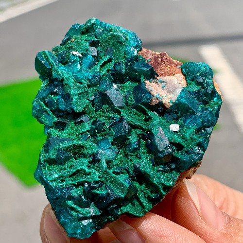 51G Natural Deep Green Grainy dioptase gemstone cluster mineral specimen - Picture 15 of 24