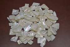 100 PCS ASSORT MIX WHITE MOTHER OF PEARL SHELL CHARMS PENDANTS T-3006