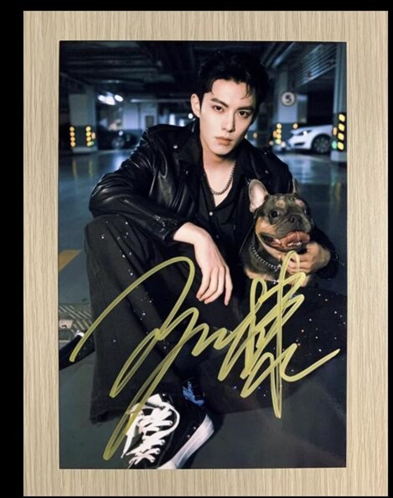 王鹤棣 最新直筆サイン 専用ページ Hand Signed Wang Hedi Autographed Photo Signature Photograph Gift
