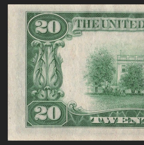 1934 St Louis Twenty Dollar Bill H22893080A Back Plate H9 386 Mule Note - Picture 9 of 11