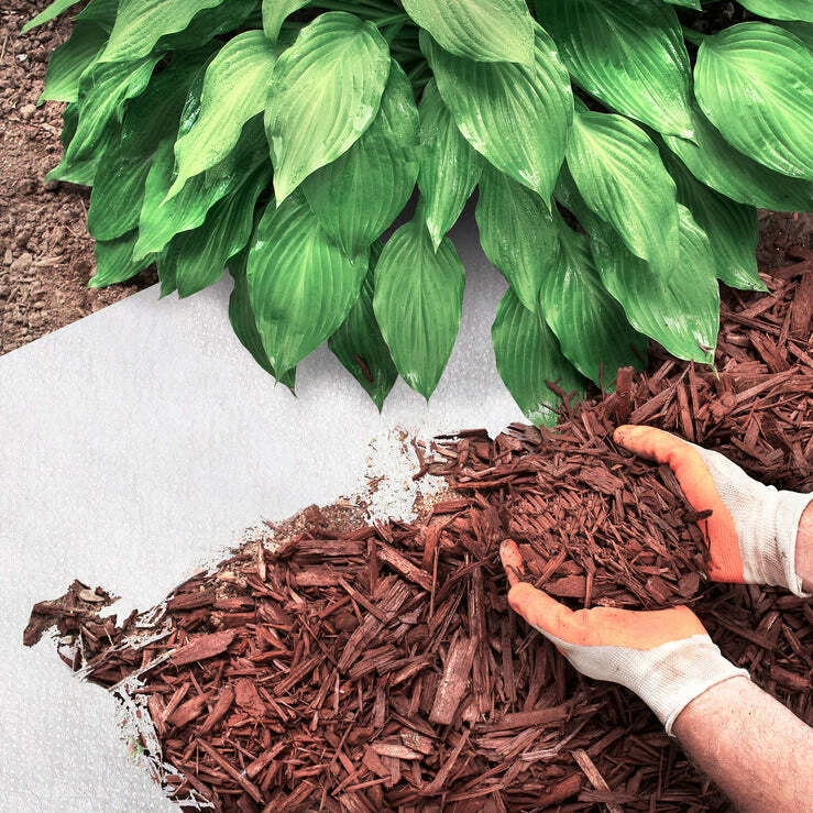 Malezas Fieltro de Jardín 50 Hasta 150 G/M ² Folio para Malahierba Mulchfolie - Imagen 4 de 4