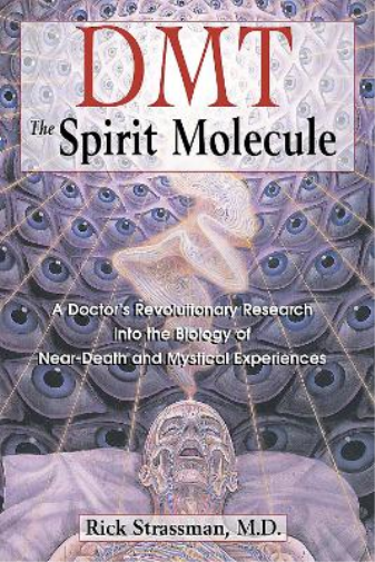 Dmt : the Spririt Molecule (Tascabile)