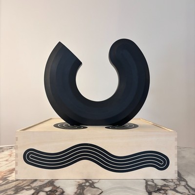 Josh sperling vase (Black) - We all make the flowers grow III - 2018