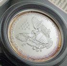 Afbeelding 3 van 4