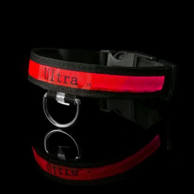 Dog Control Collars