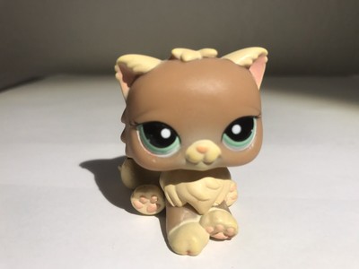 Minis Univers Figurine De Collection Petshop Pet Shop Lps 1063 Chat Persan Frl It