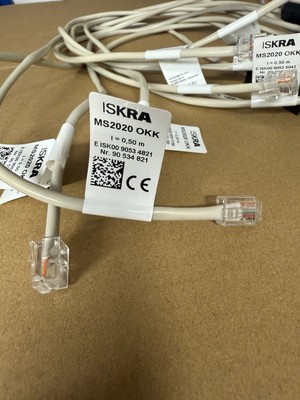 Iskra Zähler Datenschnittstelle MS2020