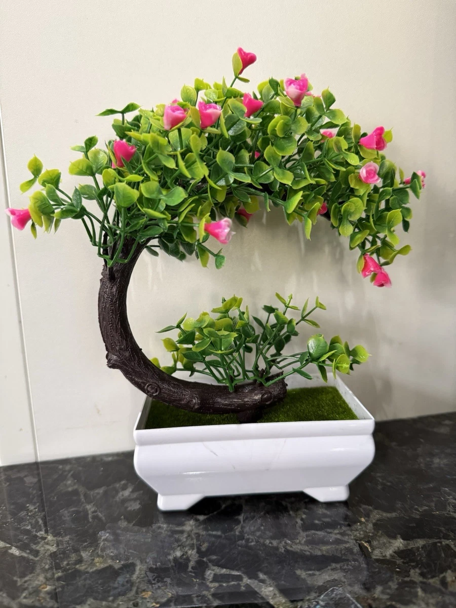 smart bonsai qi b7 Bonsaify main image 1