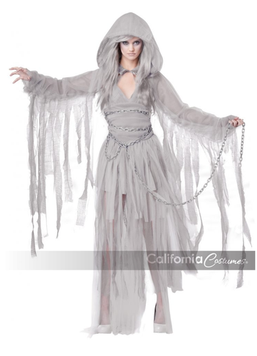 Haunting Beauty Ghost California Costumes Halloween Dress Size Large - 第 1/4 張圖片