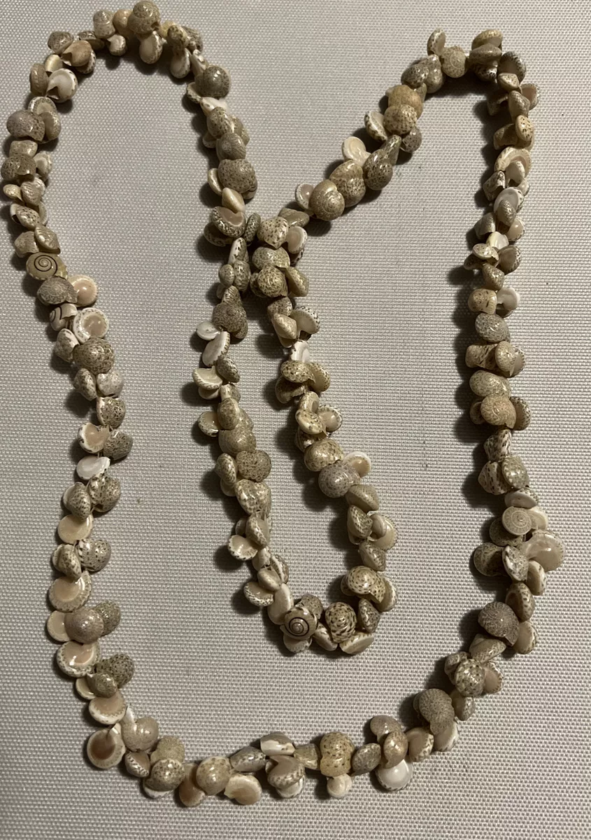 Tiny shell best sale necklace