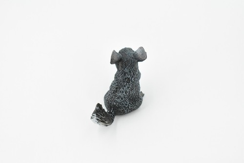 Chinchilla, Realistic Toy Rodent Figure, Model, Replica, Gift 2" CH229BB119 - 第 5/8 張圖片