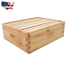 Medium Boxes Beeswax Coated 10 Frame Bee Hive Frames  Foundation For Beekeepers