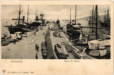 CPA AK TRIESTE Molo S. Carlo ITALY (396692)