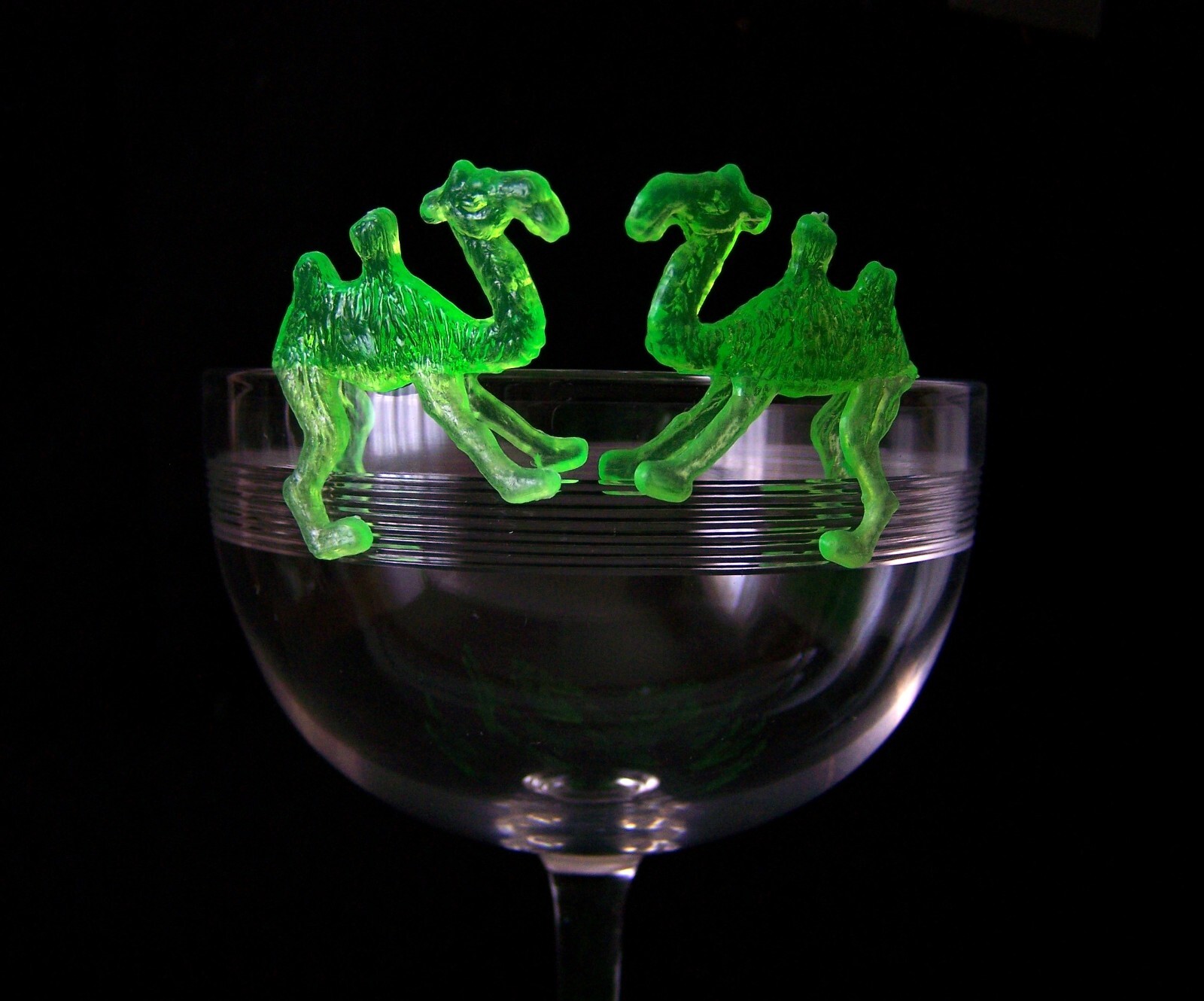 Set of 10 Retro Style Cocktail Wine Glass Orange Camel Plastic Rim ...