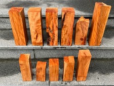 Birnbaum mit Rotkern + Apfelbaum Kanteln Reste mit Fehlern über 100 Jahre alt