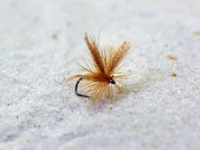 12 Flies -Light Cahill Dry Fly - tied Mustad Signature Fly Fishing Hooks