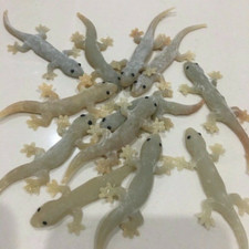 Realistic Fake Rubber Lizard Favorite Reptile Fake Animal Person Prank Toys Pet