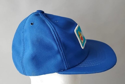 BLUE SNAPBACK VINTAGE HOSTESS TRUCKER CAP HAT ONE SIZE ADJUSTABLE - Picture 5 of 14