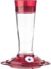 Bird Health+ Ruby Hummingbird Feeder, Glass Hummingbird Feeders for Outdoors, 4