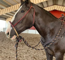 40 Plait Braided Bosal, Natural & Chestnut Cherry Rawhide Bosal, 11-inch Bosal.
