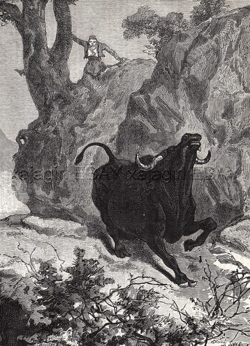 Hunting Wild Bull Steer in Bosnia, Large 1870s Antique Engraving Print & Article - Photo 3 sur 7
