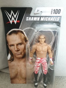 wwe basic series 100