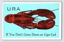 Postcard Massachusetts Cape Cod MA Lobster 1940s Unposted Linen
