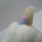 Picture 9 of 9