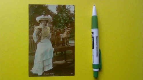 Vintage 1907 Postcard, DOGS Animals - ORIGINAL REAL POST CARD (B)