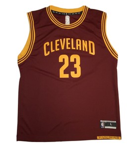 lebron james old jersey