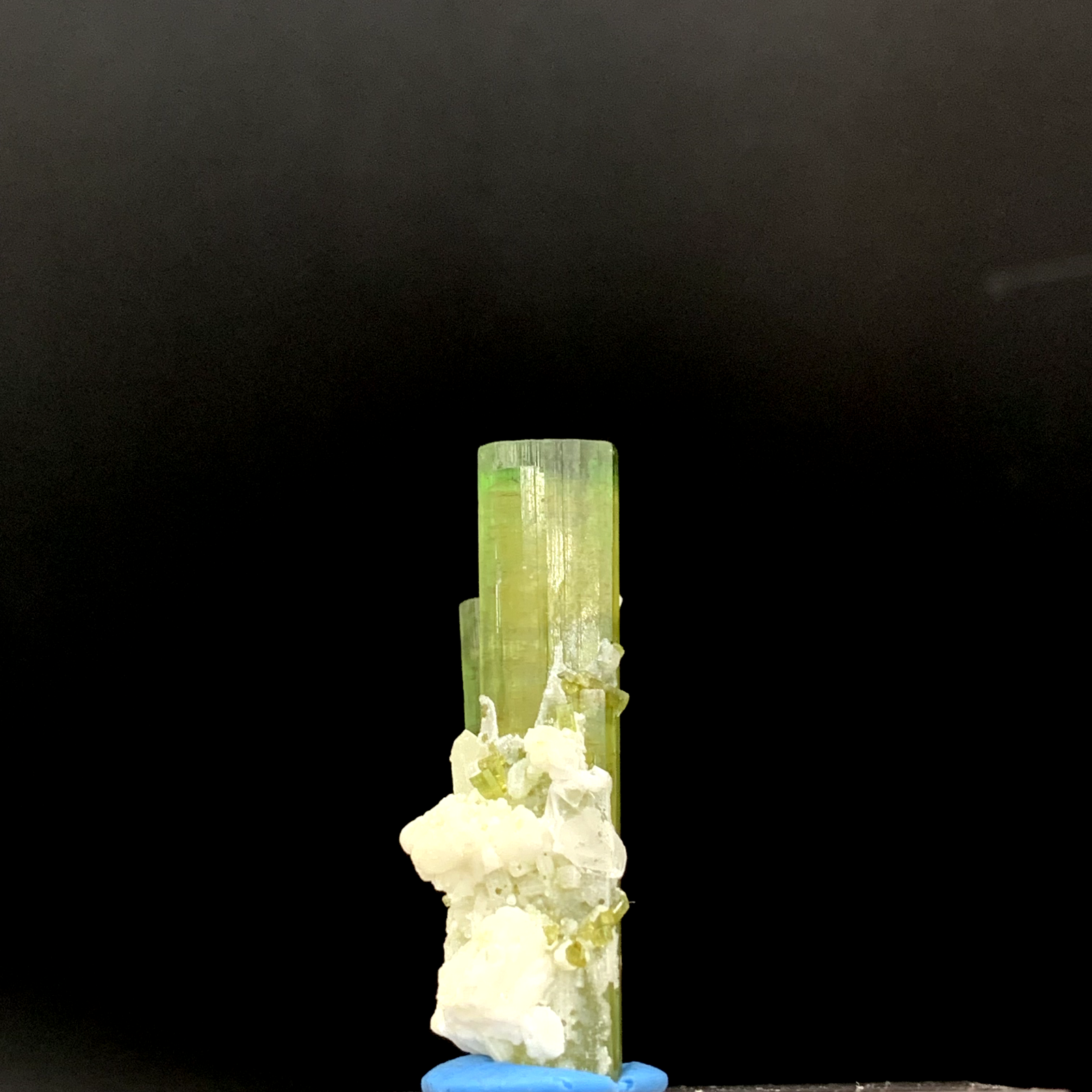 Picture 10 of 24