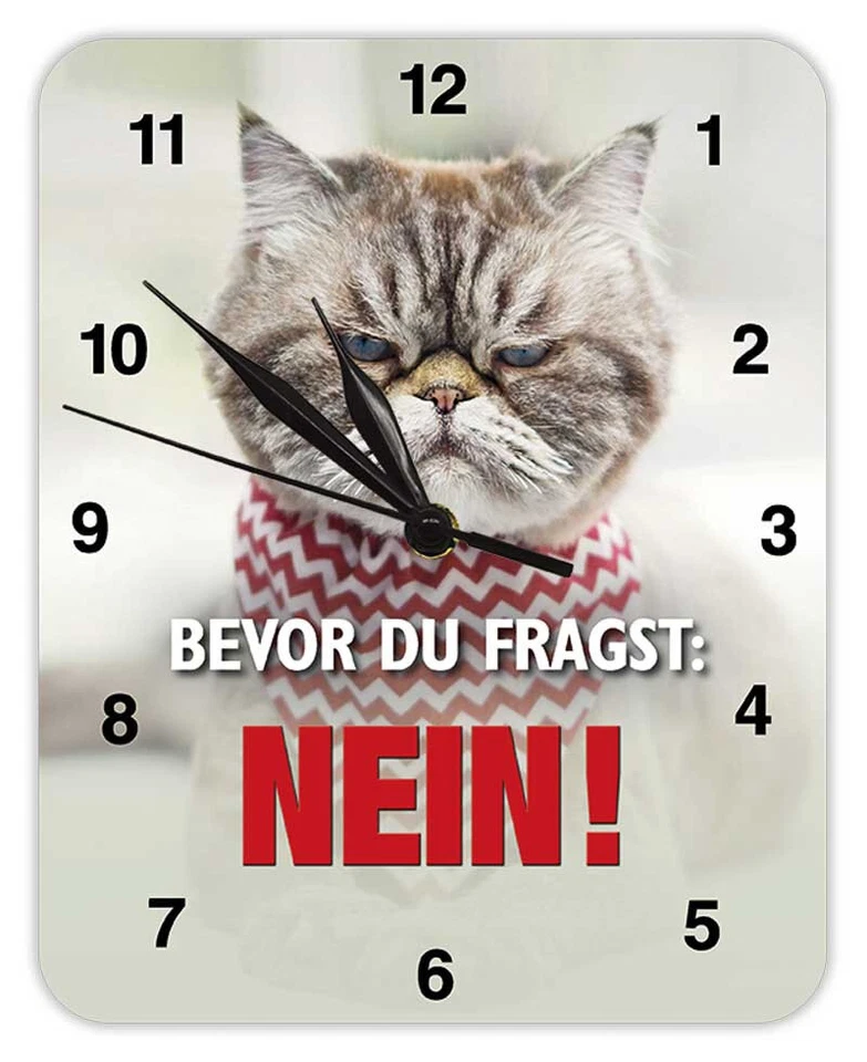 BLECHWAREN FABRIK BRAUNSCHWEIG GMBH Bevor Du fragst: NEIN! (Katze) - Wanduhr aus Blech 20 x 25 cm KU28