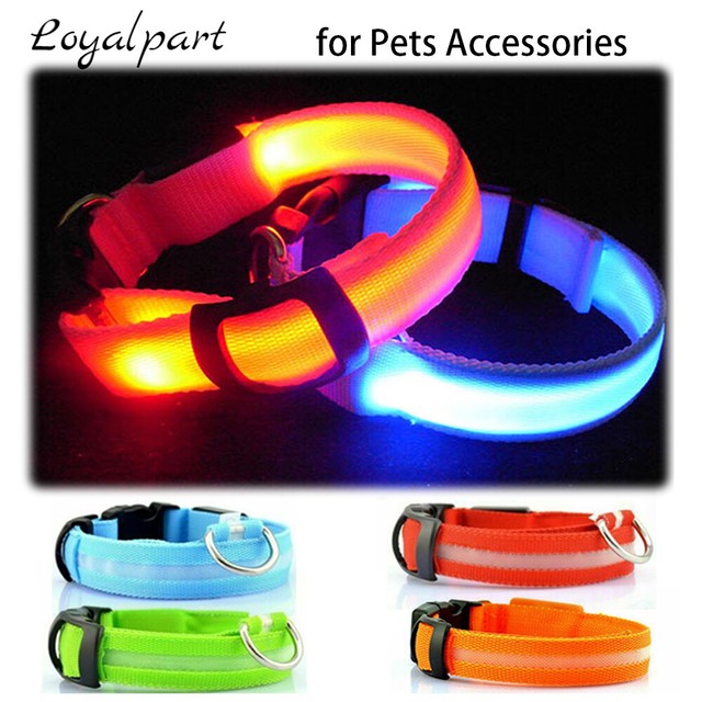 flashing dog collars ebay