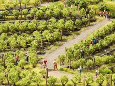 Noch scala N 21545 Filari di viti vitigni 24 piante di viti Nuove OVP