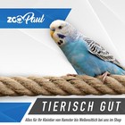 Bild 7 von 7