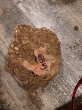  B64 NICE SOLID RED MANZANITA BURL WOOD