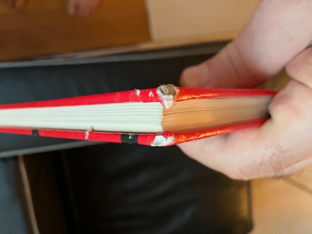 Bild 10 von 12