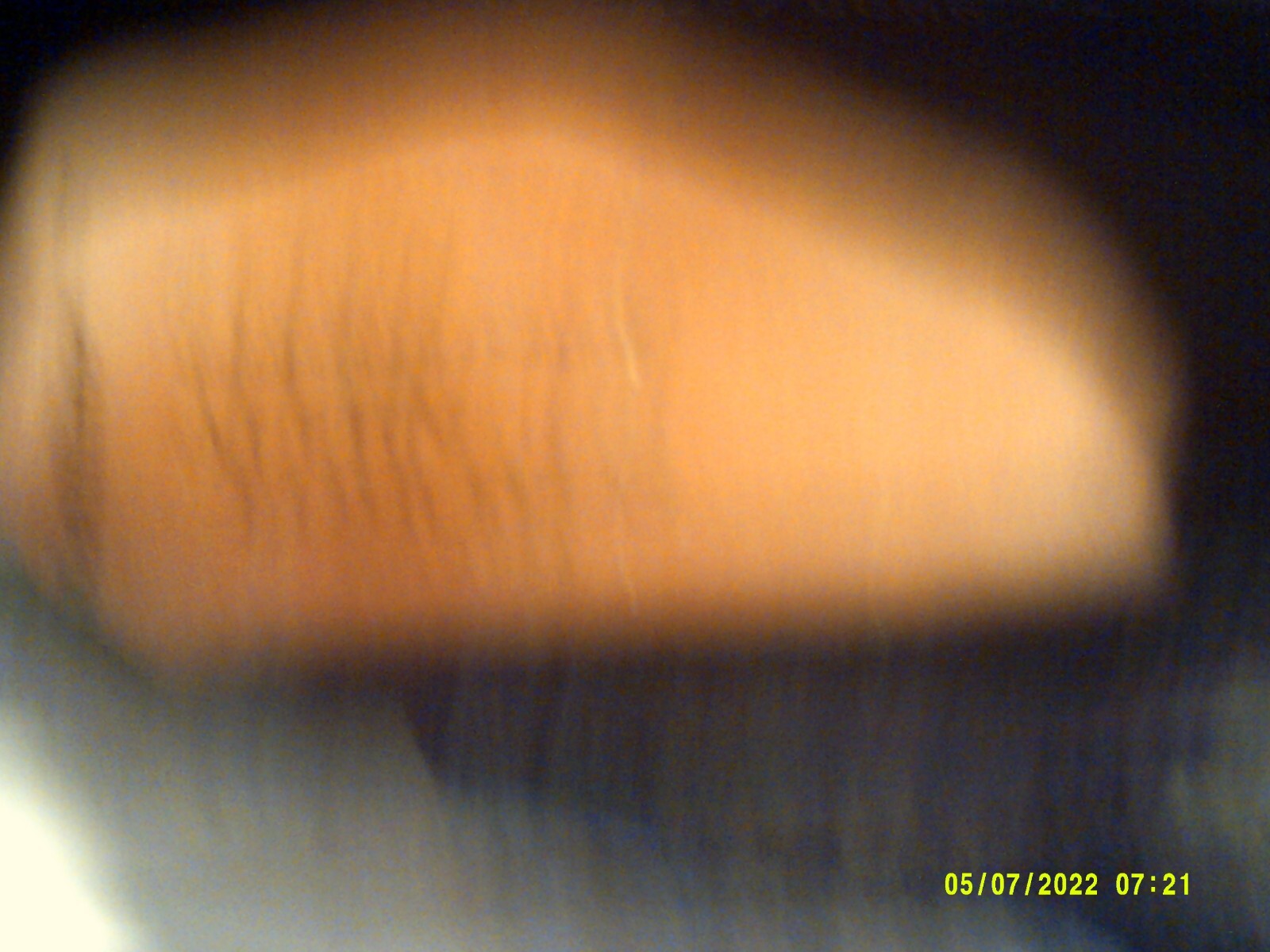 Picture 6 of 11