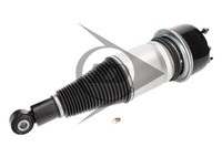 Dunlop Airsuspension Luftfederbein Hinten, Links, Rechts FüR Jaguar
