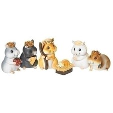 Hamster 6pc Pageant Set