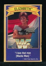 1992 GOLD BOND Good Humor ICE CREAM Wrestling Miss Elizabeth rare GVG swsw6