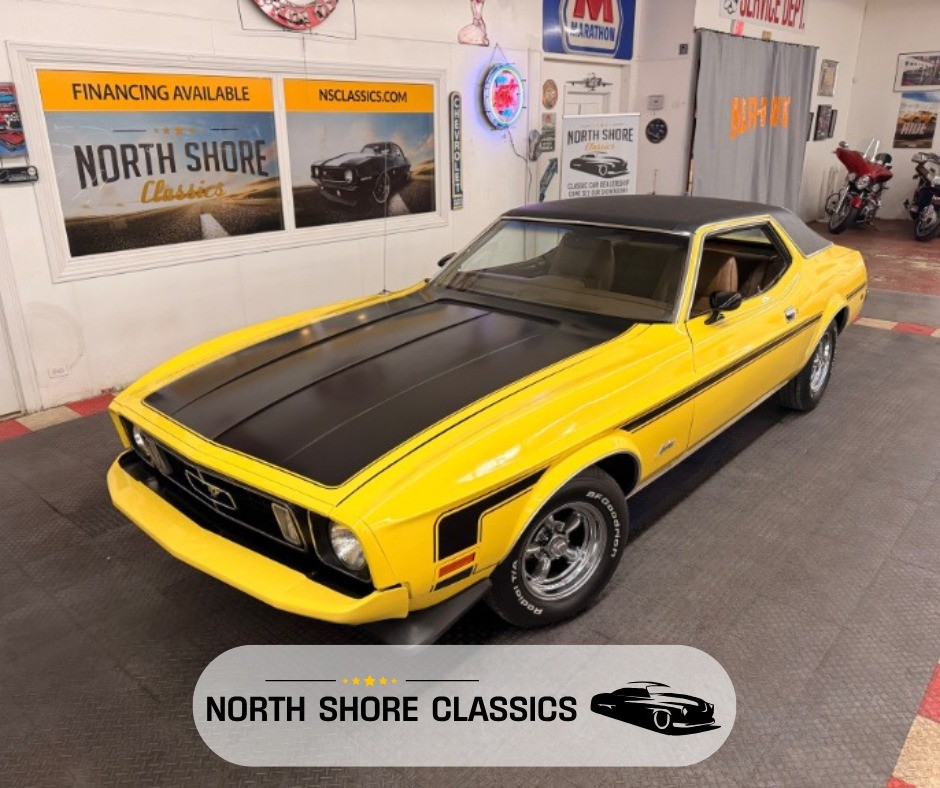 1973 Ford Mustang for sale in Mundelein Illinois