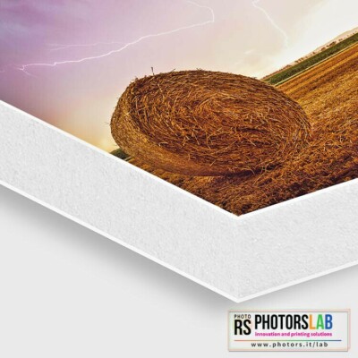 FOTOTOPANEELE FOTOPANEL PERSONALISIERT MIT IHREM LIEBLINGSFOTO