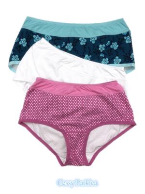 SN-F5-4 US ''Comfort Choice'' Plus Size Stretch Cotton Full Cut Briefs 12-46