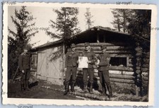 Wolchow - Luftwaffe mit Flak Kampfabzeichen Orden - Russland - WK2 Foto 9x6cm