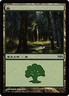 Forest (MPS 2011) FOIL Promo JAPANESE PLD Land Special MAGIC MTG CARD ABUGames