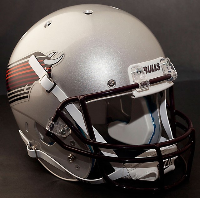 JACKSONVILLE BULLS 19841985 Football Helmet Nameplate "BULLS" Decal