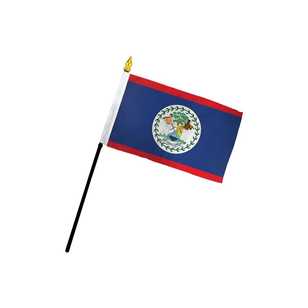 12 Belize Stick Flags 4x6in Mini Belizean Flags for Decor