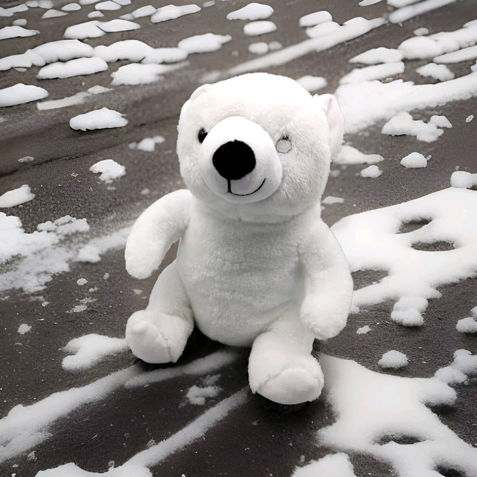 Polar Bear 2024 Toy Plush Animal White Soft CVS Spirt Marketing