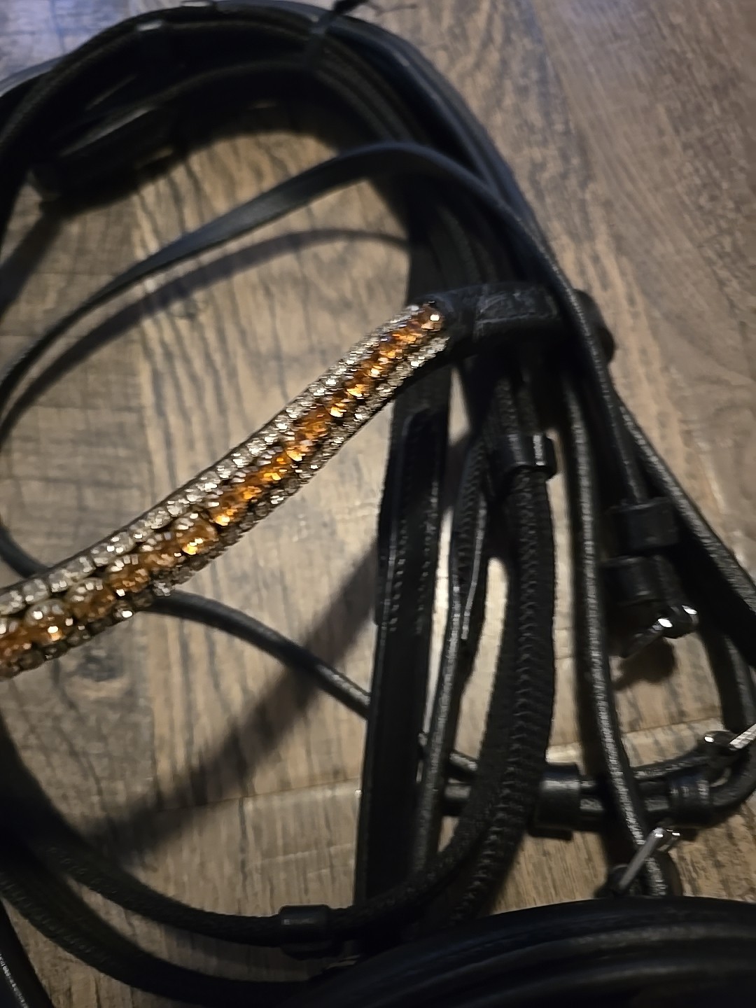 Dressage Bridle